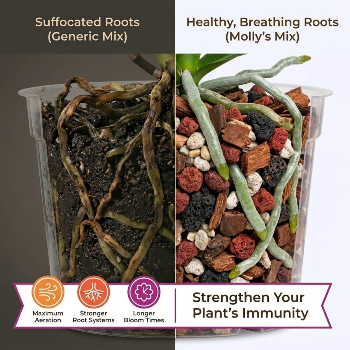 VeryPlants Molly's Orchid Potting Mix red lava rock improves drainage