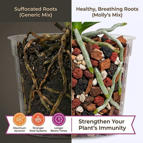 VeryPlants Molly's Orchid Potting Mix red lava rock improves drainage