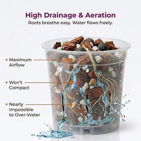 VeryPlants Molly's Orchid Potting Mix chunky texture promotes drainage and root aeration