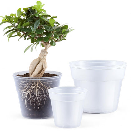 Vesici 8-inch clear nursery pot with drainage holes for root monitoring