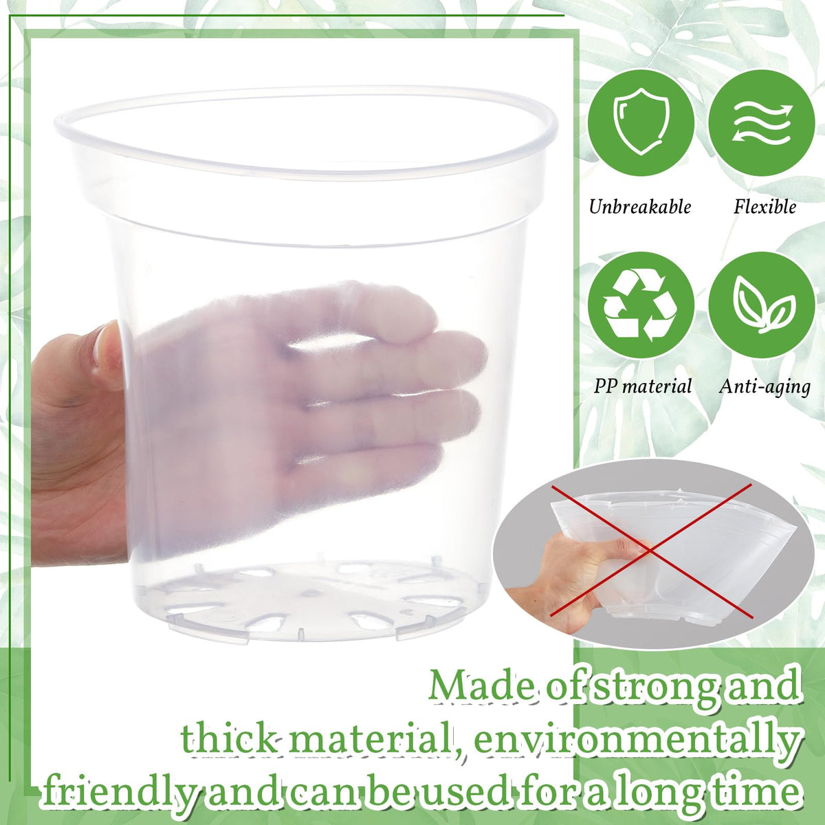 Vesici six-pack clear plant pots cover seedlings to flowering plants
