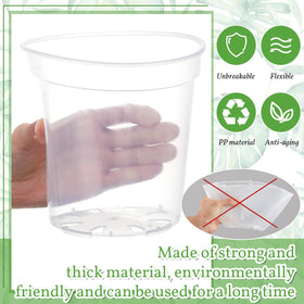 Vesici six-pack clear plant pots cover seedlings to flowering plants