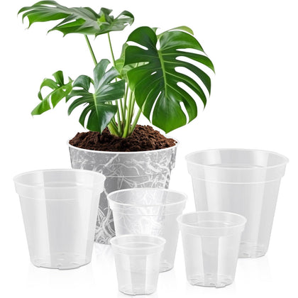 Vesici clear pot 4-inch with drainage for seedlings and early-stage plants.