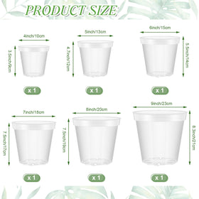 Vesici clear pot 5-inch showing root visibility for careful monitoring.