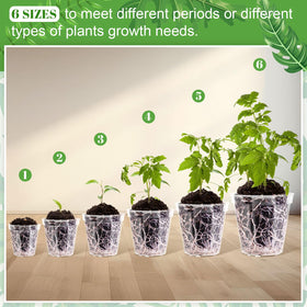 Vesici clear pot 6-inch for medium plants with drainage holes.