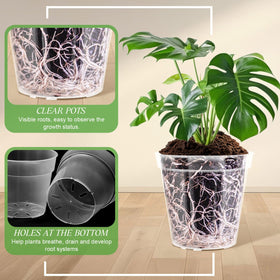 Vesici clear pot 7-inch in a bright space, showcasing clarity and portability.