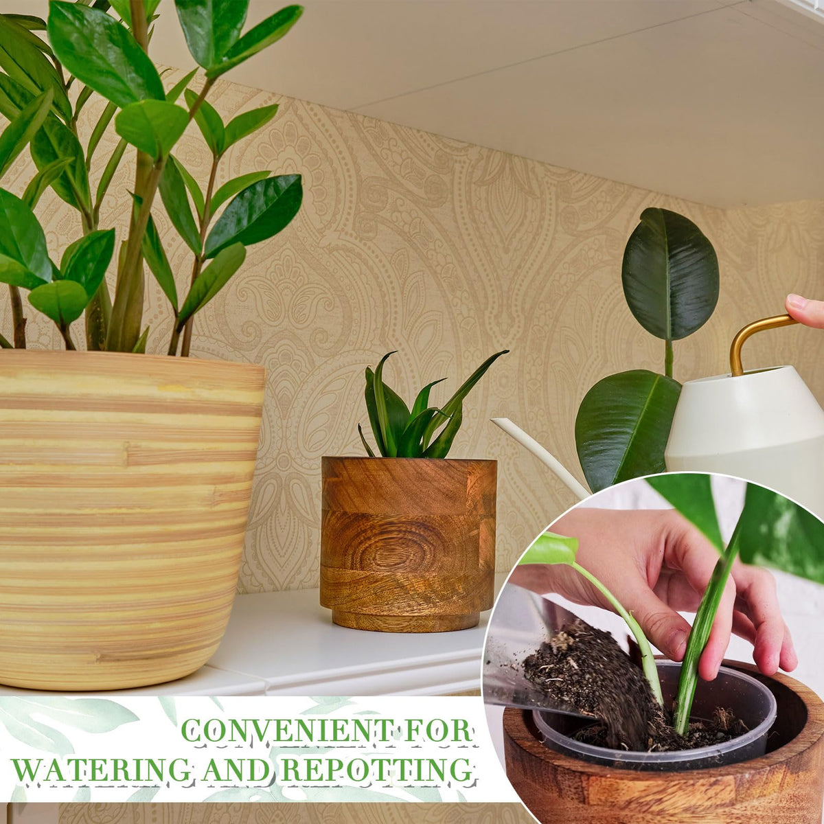 Vesici clear pot 9-inch with spacious interior for mature plants.