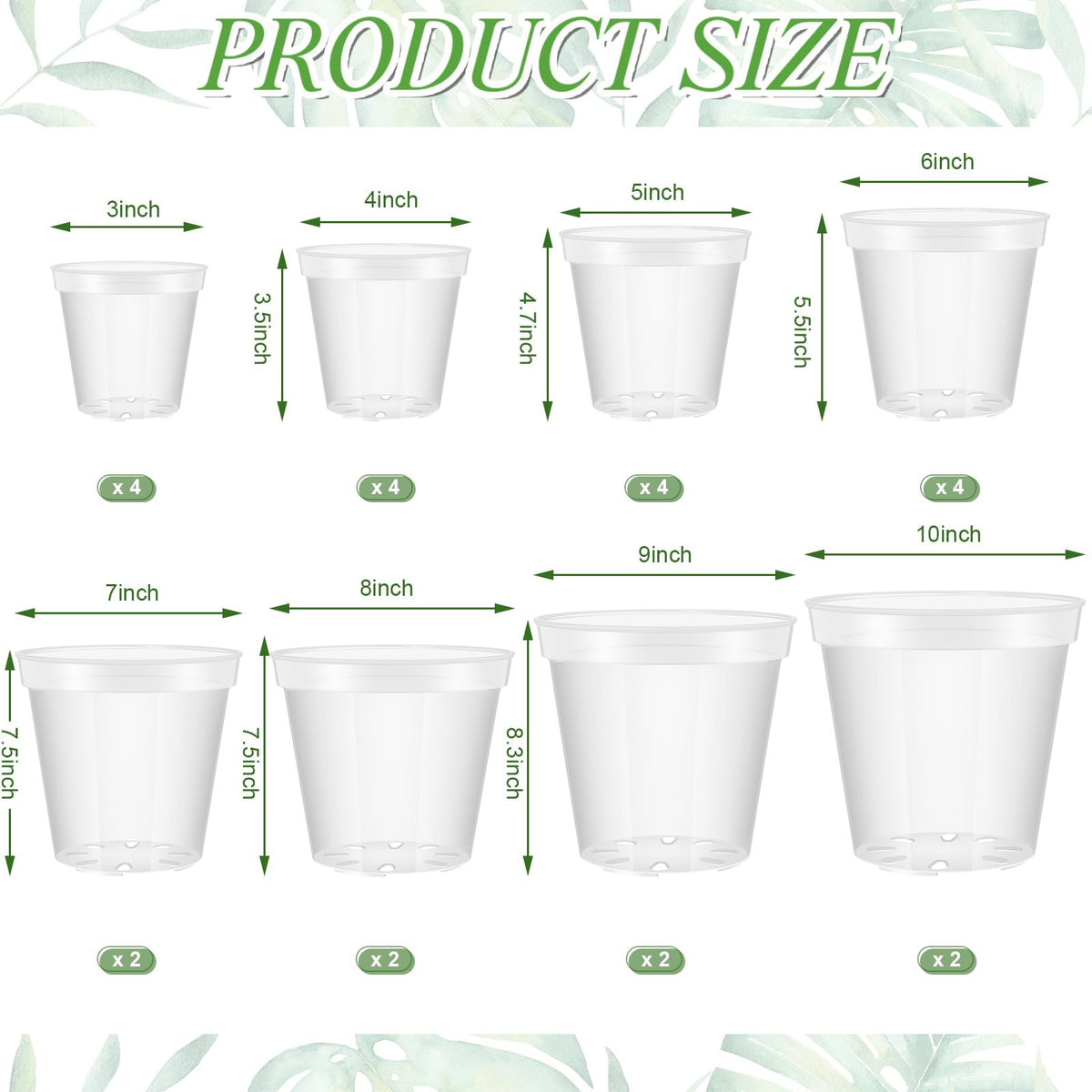 Vesici 4-inch clear pot ideal for transplanting herbs