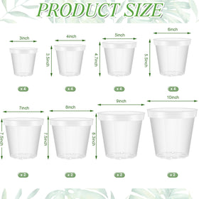 Vesici 4-inch clear pot ideal for transplanting herbs