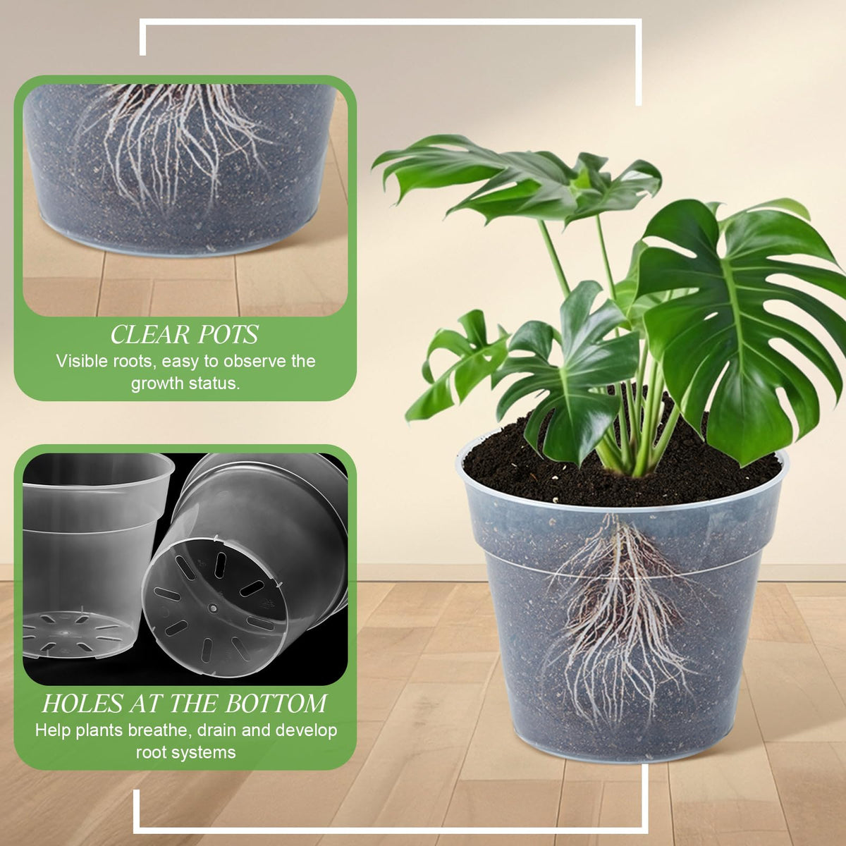 Vesici 7-inch clear pot with drainage for indoor planters