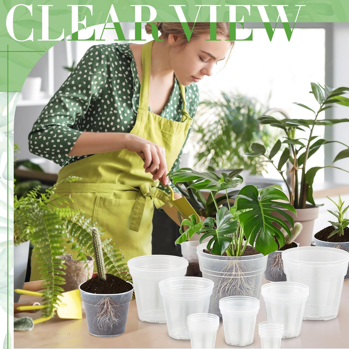 Vesici 8-inch clear pot suitable for larger plants and decor