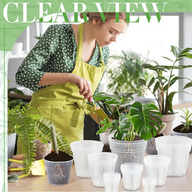 Vesici 8-inch clear pot suitable for larger plants and decor