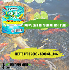 Vet Recommended barley straw in fountains supports natural water clarity.