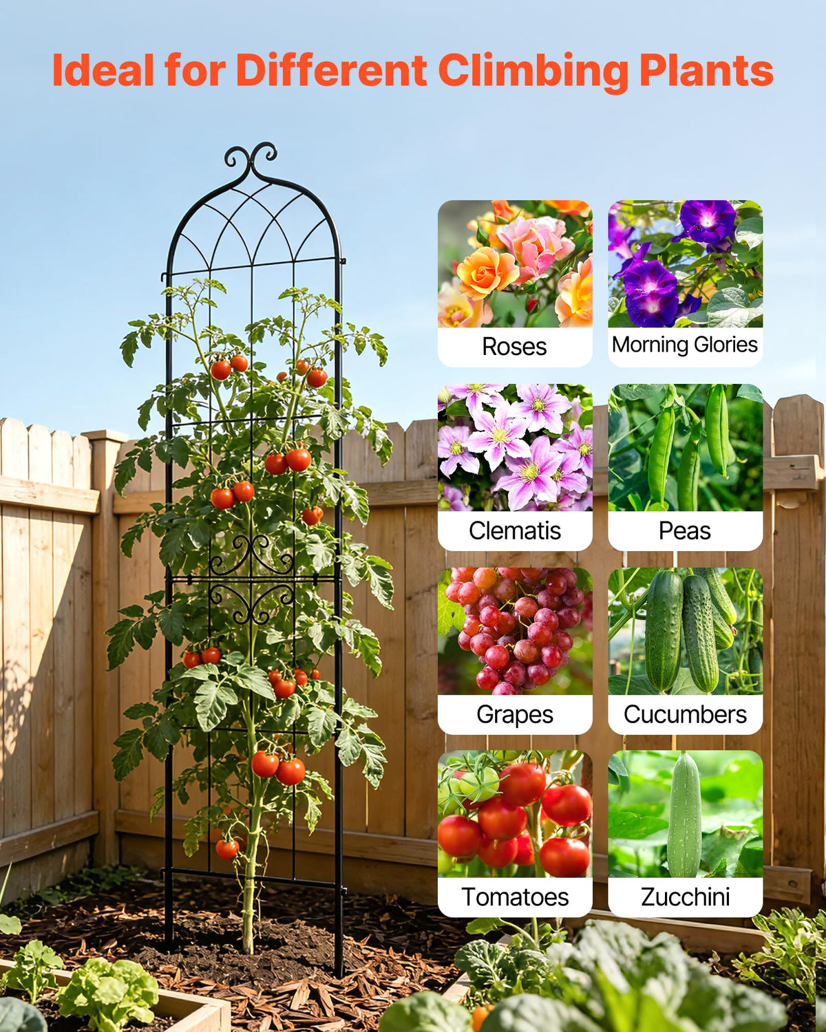 VEVOR 2-pack trellises provide vertical support for vines