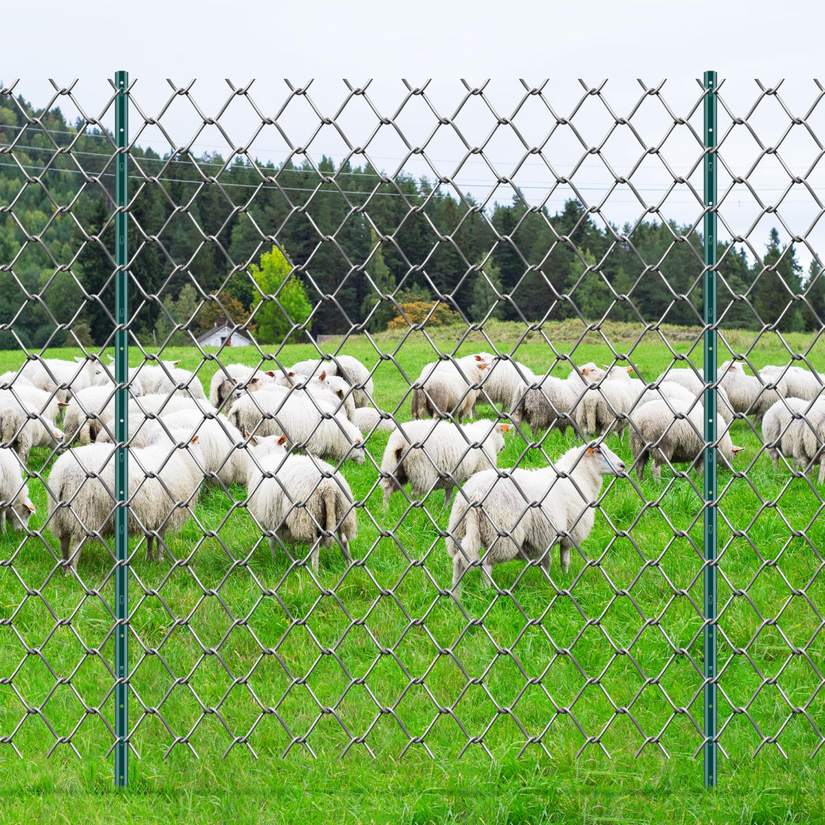 VEVOR high-strength steel, 2 mm thick for reliable fencing.