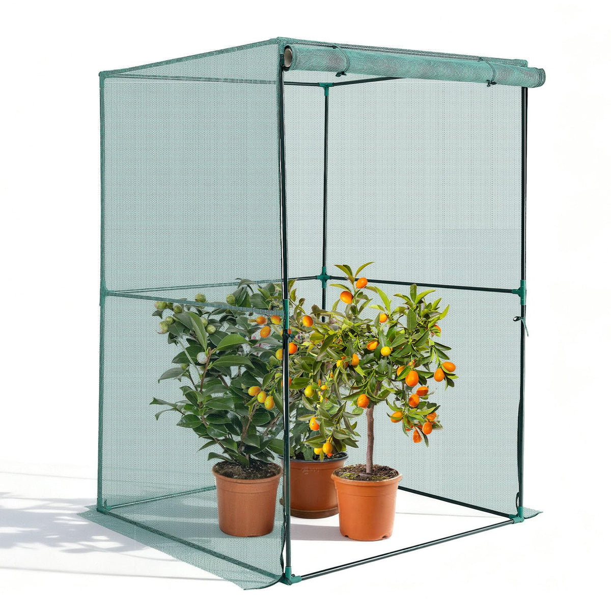 VEVOR Crop Cage interior space showing roomy garden protection and growth area