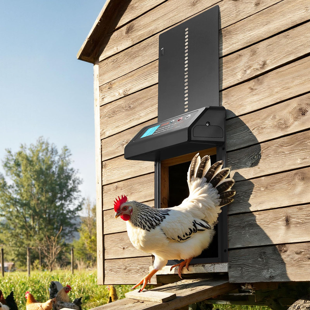 VEVOR quick-install design with included tools for any coop