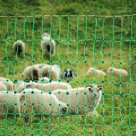 VEVOR fence netting suitable for deer and other large livestock in open fields