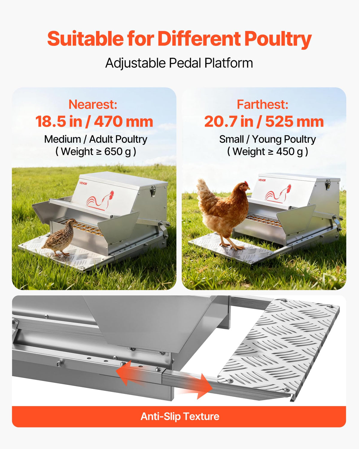 VEVOR galvanized steel construction withstands outdoor coop conditions