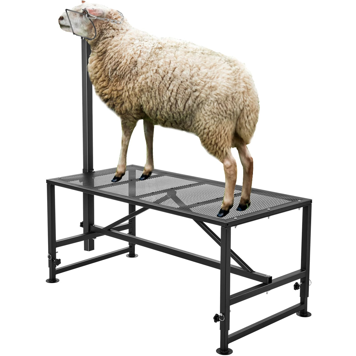 VEVOR goat and sheep stand with 51x23 inch tabletop for stable trimming