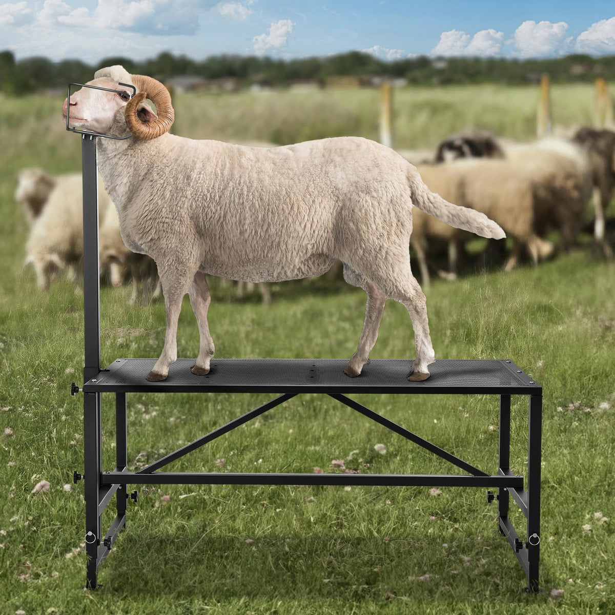 VEVOR in-use demonstration of the stand with a goat