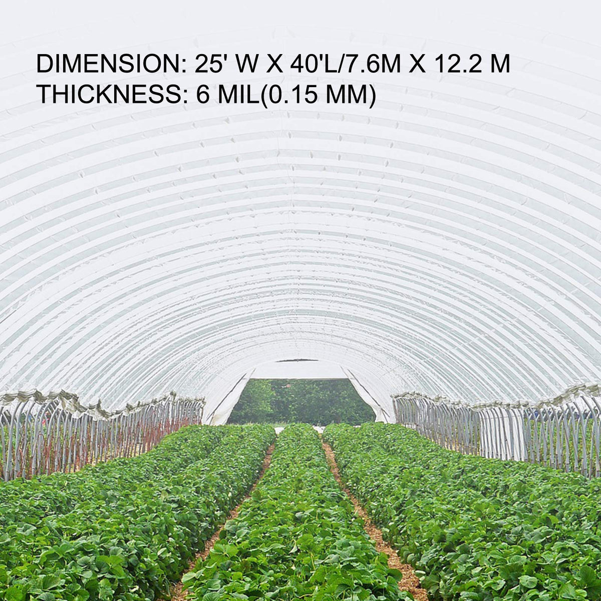 VEVOR film closeup 6mil shows thickness and tear resistance.