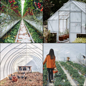 VEVOR film acts as a dust barrier for plants during windy days.