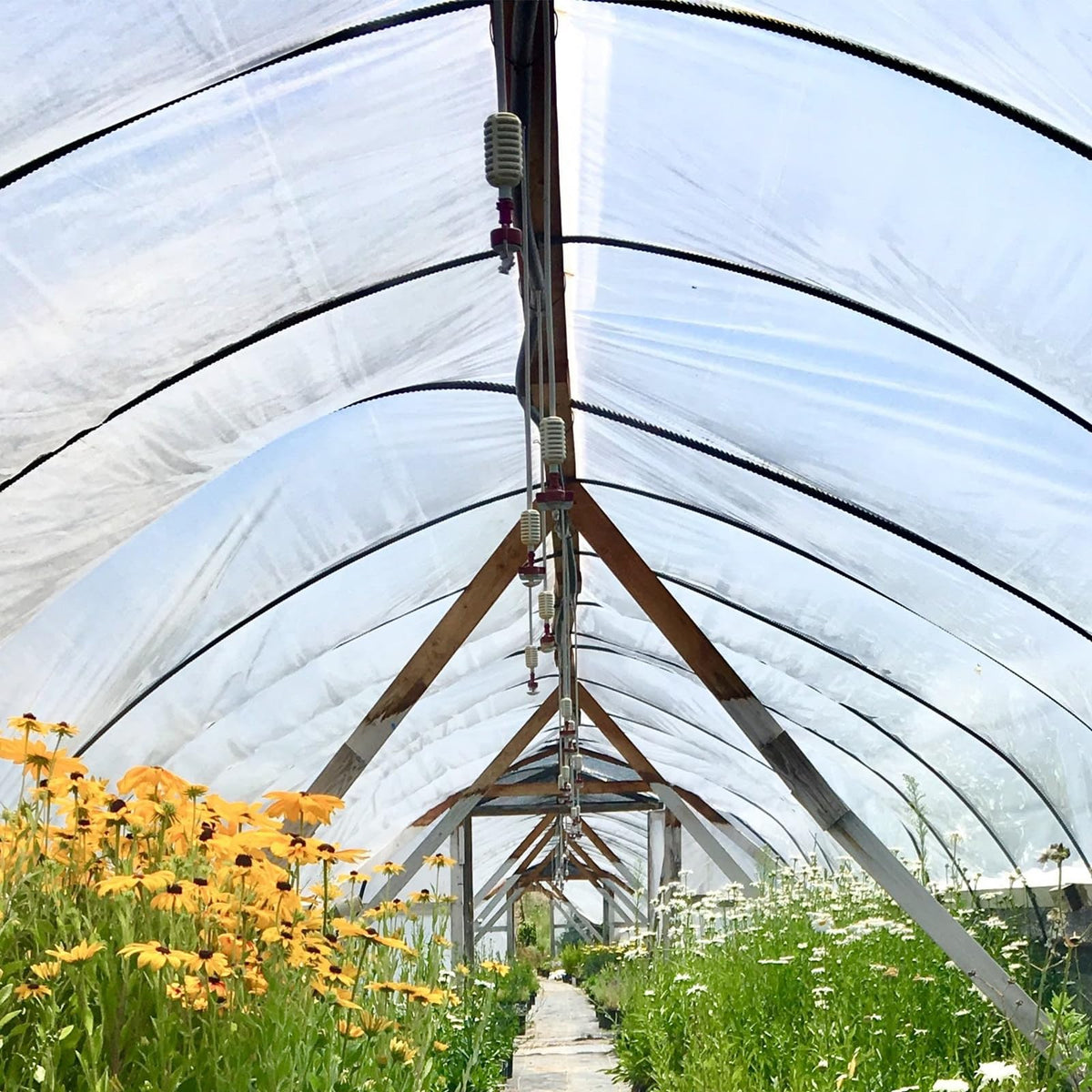 Durable weather-resistant VEVOR film stands up to outdoor conditions.