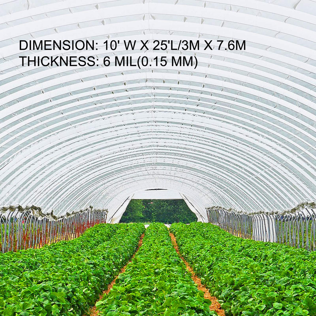 UV-protected VEVOR film preserves light quality while shielding crops from sun damage.