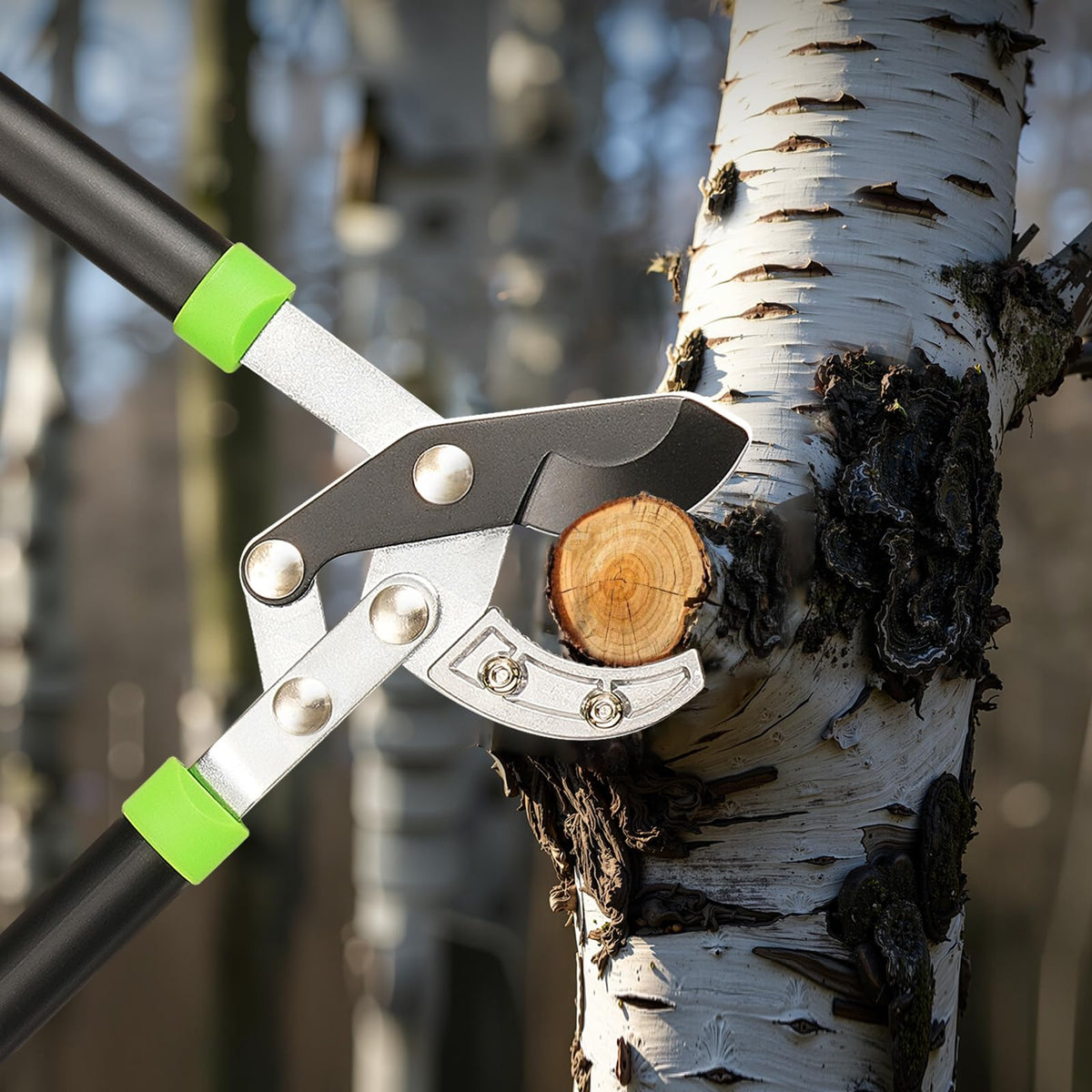 VEVOR loppers in garden pruning scene cutting green branches