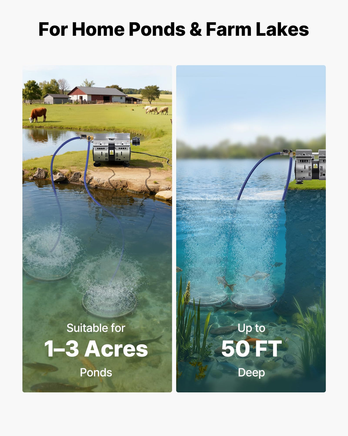VEVOR outdoor pond setup showing comprehensive aeration system in action.