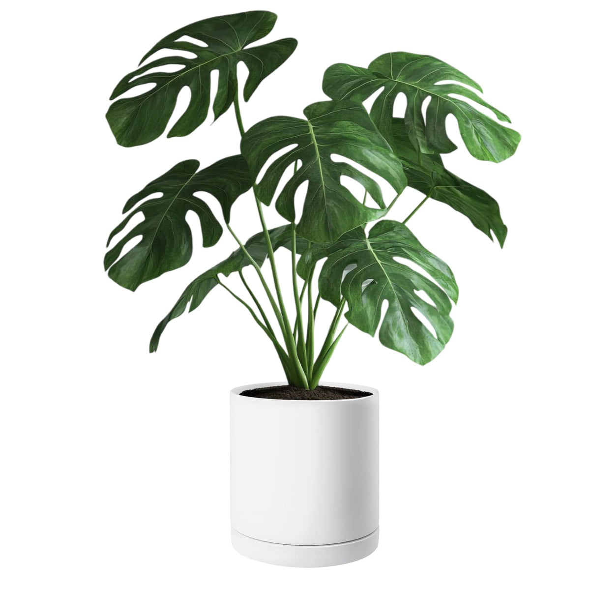 VEVOR plant pot packaging ensures safe transit.