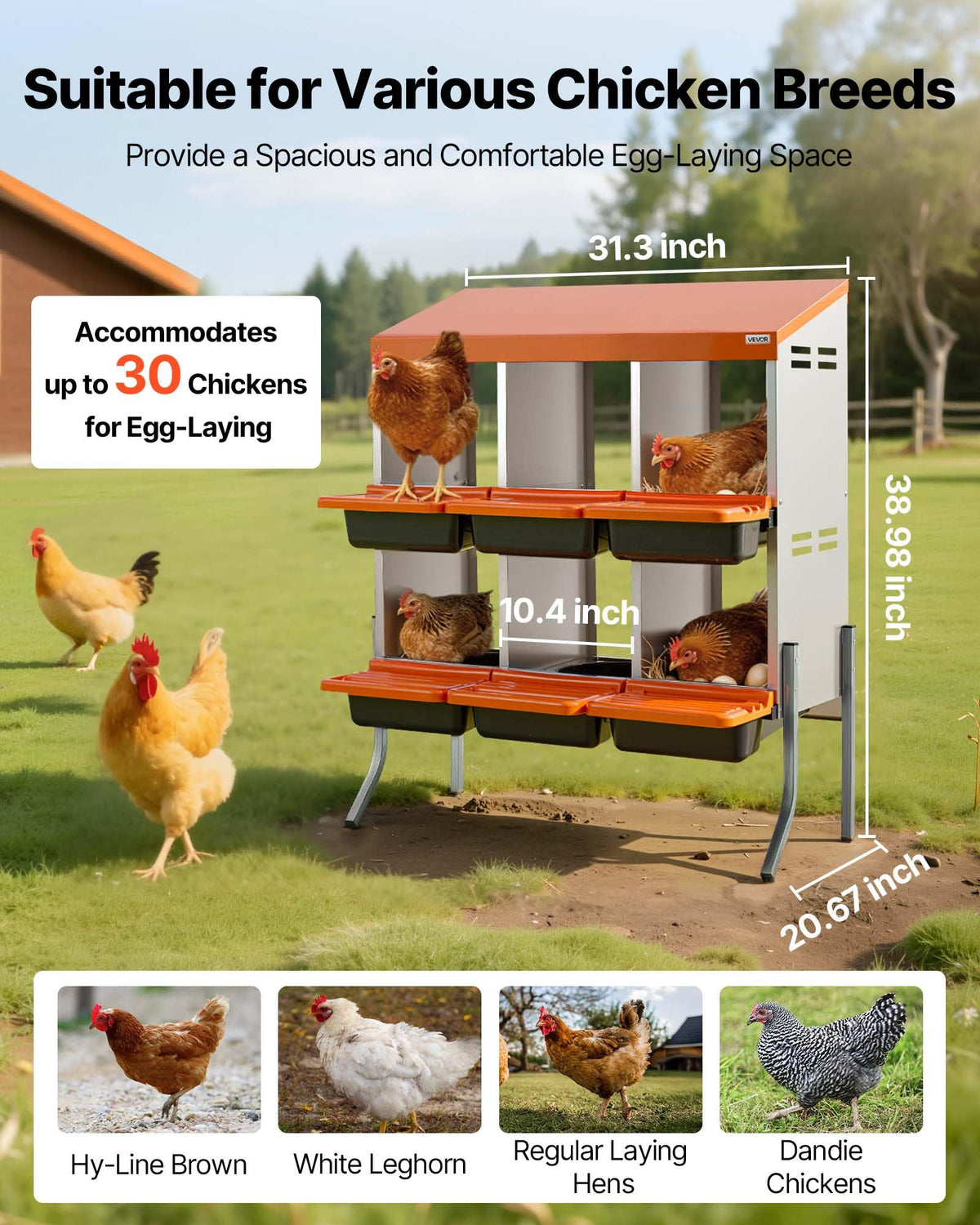 VEVOR roll-away nesting trays boost egg collection efficiency