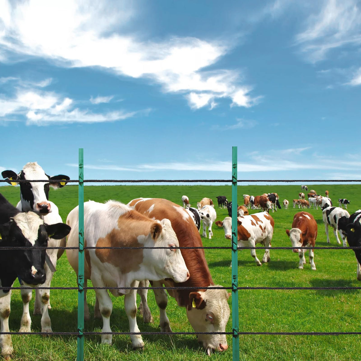 VEVOR rust and UV resistant construction designed for long field use