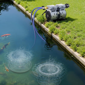 VEVOR sludge-reduction visible in clearer pond water.