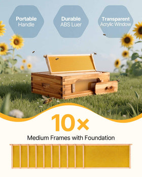 VEVOR hive with transparent windows for easy observation without disturbance
