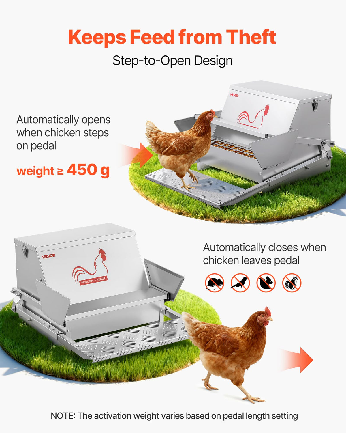 VEVOR treadle activated feeder engaging poultry while reducing waste