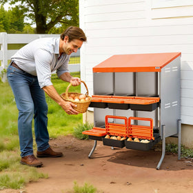 VEVOR flexible setup with wall-mount or legs included