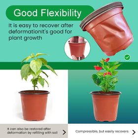 Viaoone 110-pack enables batch propagation and nursery projects.