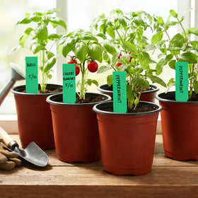 Viaoone 4.7 inch pot size supports seedlings and herbs.