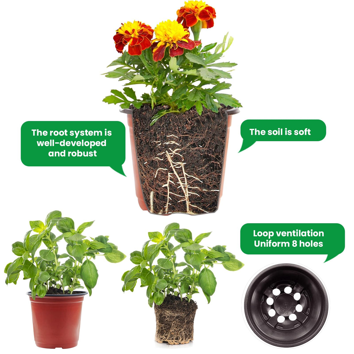 Viaoone gardening tools and labels included for quick setup.