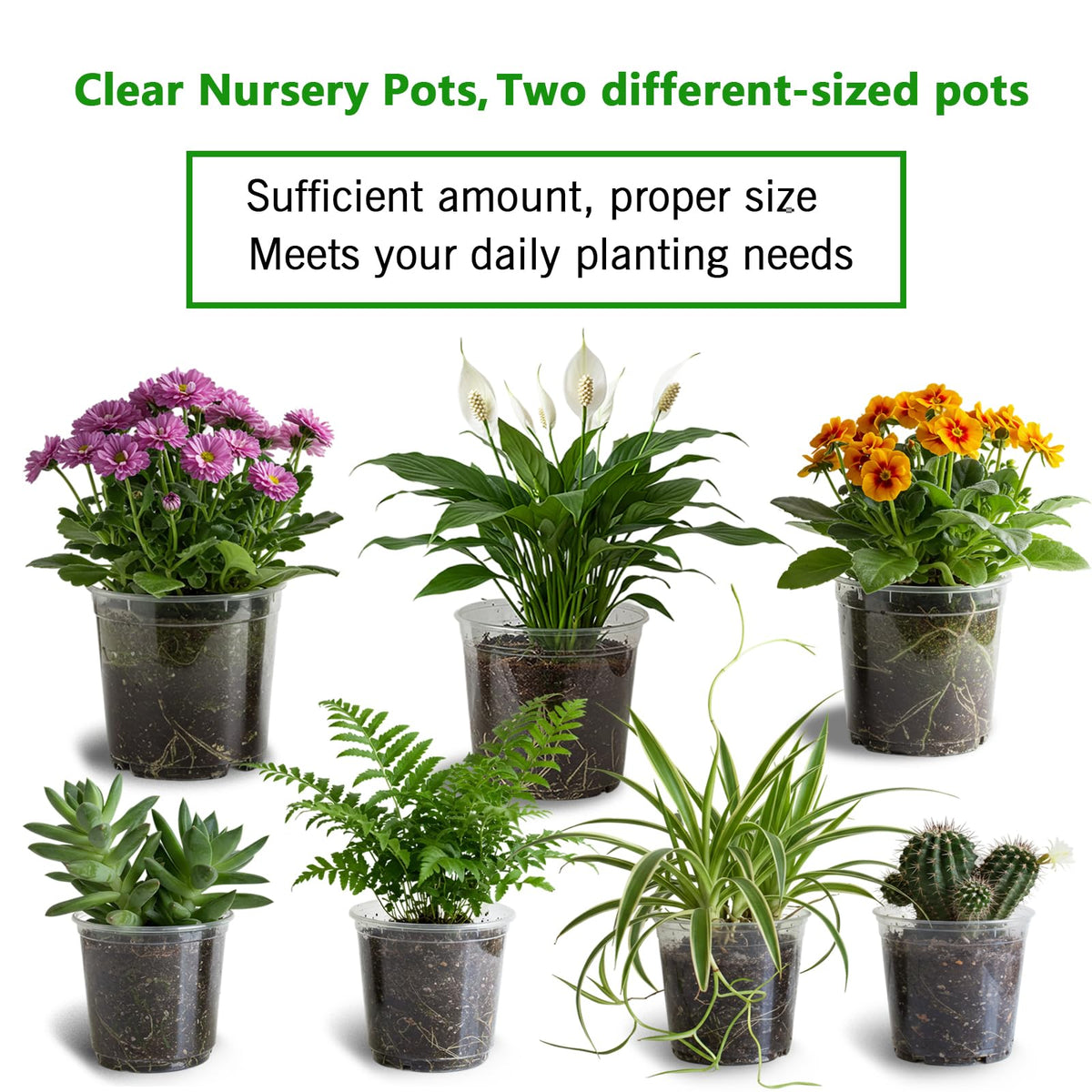 Viaoone plant labels 40 included help keep seedlings organized.