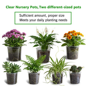 Viaoone plant labels 40 included help keep seedlings organized.