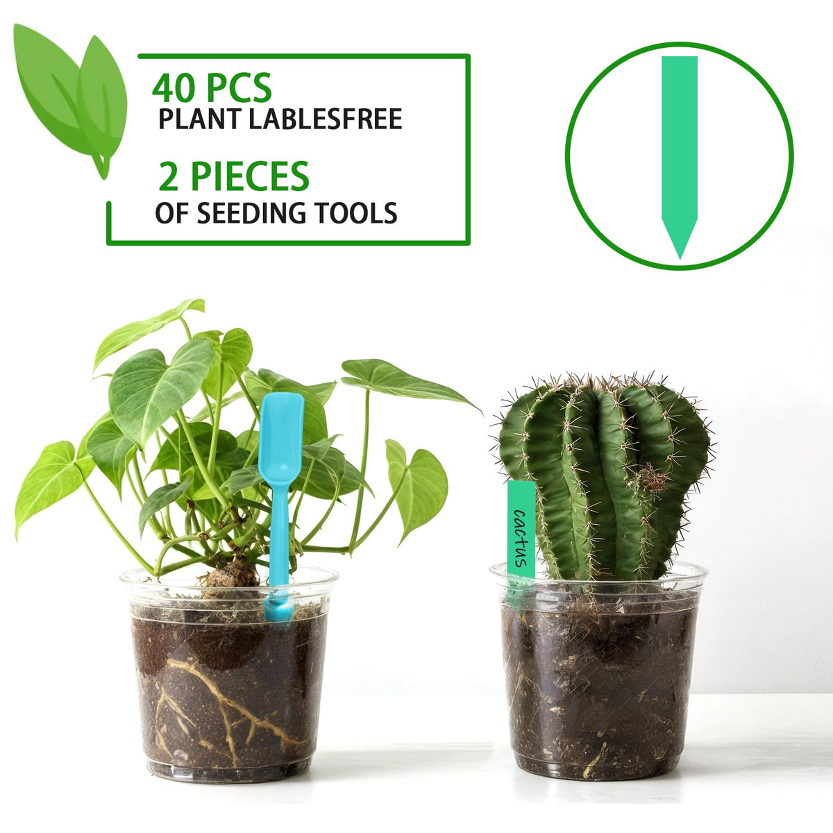 Viaoone pots with drainage holes support thriving roots and air circulation.