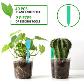 Viaoone pots with drainage holes support thriving roots and air circulation.