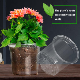 Viaoone transparent planters for indoor outdoor use aid plant viewing.