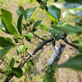 Vibriskape 3.9-Inch M-shaped spreaders aid nutrient distribution.