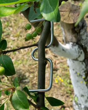 Vibriskape 22-piece kit supports consistent branch orientation.