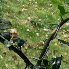 Vibriskape easy-use hanger aids quick branch angle changes.