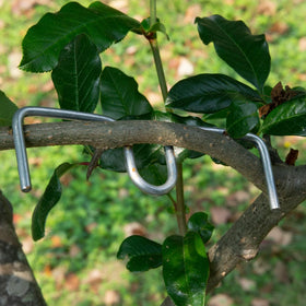 Vibriskape fruit tree angle adjuster improves light exposure for growth.